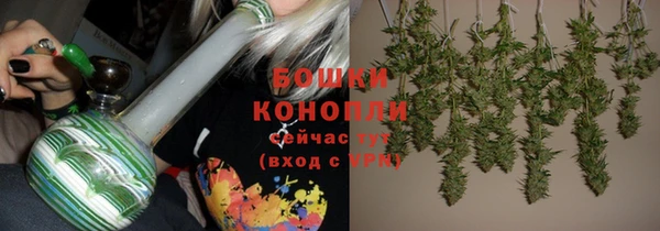 шишки Балахна