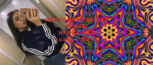 шишки Балахна