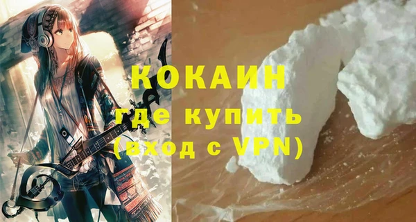 шишки Балахна