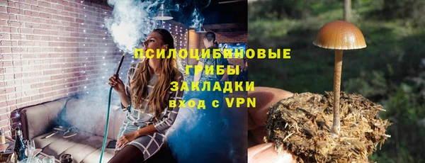 шишки Балахна