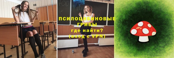 шишки Балахна